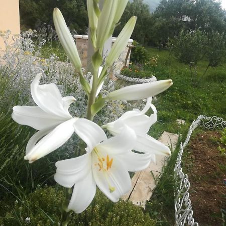 Castello Flower Apartment Kastela Bagian luar foto