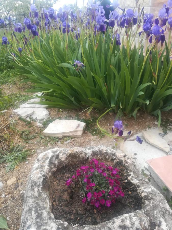 Castello Flower Apartment Kastela Bagian luar foto